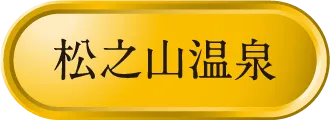 Matsunoyama 温泉宅配プレミアム（20L×2）