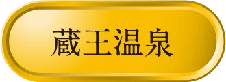 Zao 温泉宅配プレミアム（20L×2）